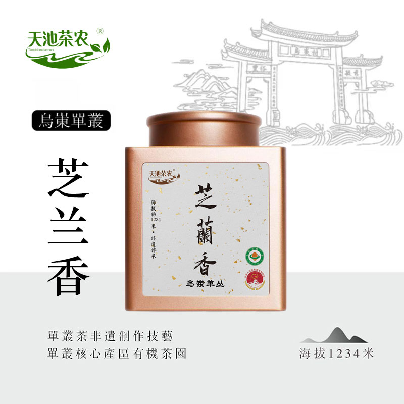 鳳凰單樅芝蘭香