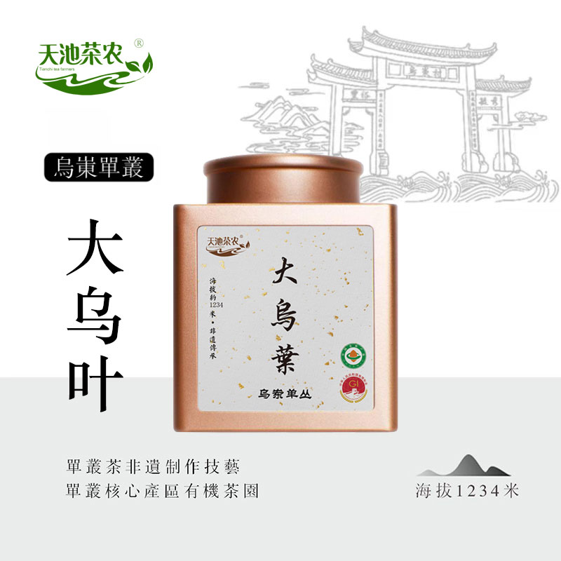 鳳凰單樅大烏葉